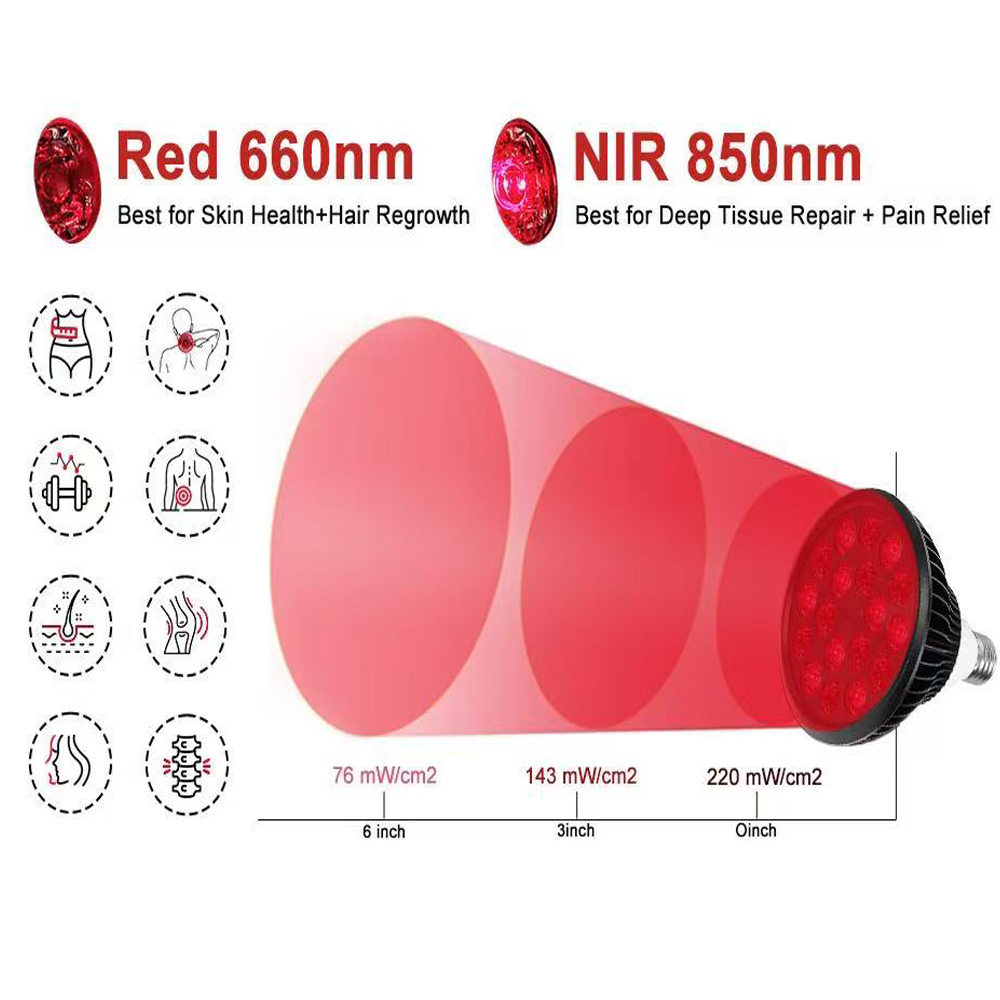 LED Infrared Light Therapy bul - đánh giá và giá K&G Women'S Formal Wear
